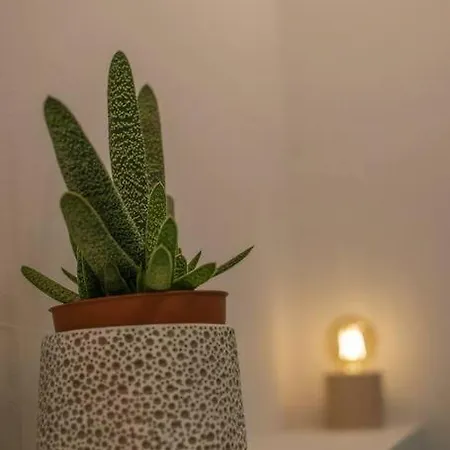 Theofilia Sea Side Benitses (Corfu)